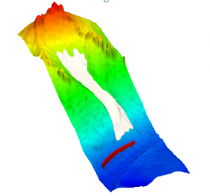 Finite Element analysis of snow avalanche using Non-Newtonian fluid model