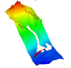 Finite Element analysis of snow avalanche using Non-Newtonian fluid model