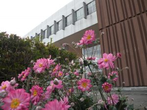 この画像には alt 属性が指定されておらず、ファイル名は 2012_10_13-14-275-300x225.jpg です